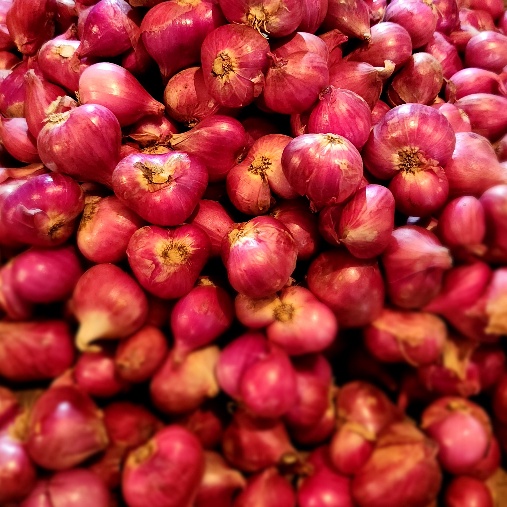 

[KODE PRBP0] Bawang Merah Probolinggo 1kg