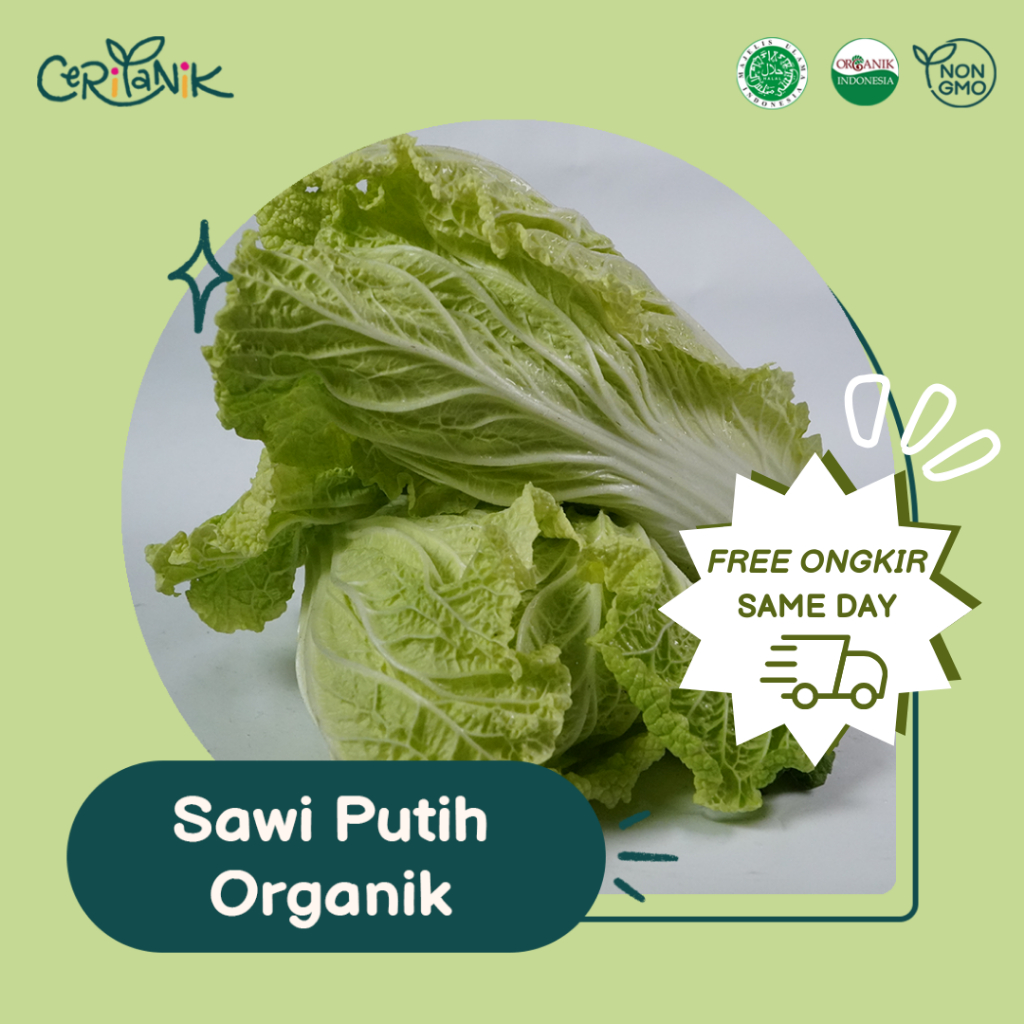 

Sawi Putih Organik 500 gram - Ceritanik - Chinese Cabbage Organic - Sayur Organik Murah - Sayur Organik Sehat - Sayur Organik Premium