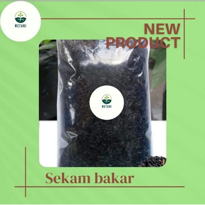 Sekam Bakar/Arang Sekam