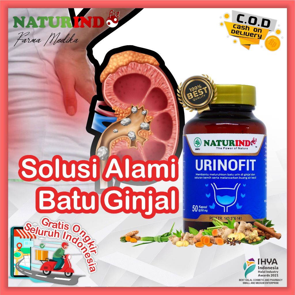 Obat Batu Ginjal Urinofit Herbal Alami Naturindo