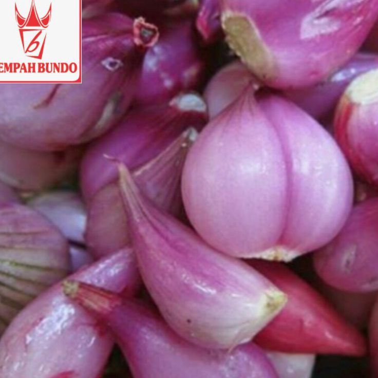 

Hot Sale Bawang Merah Brebes Kupas ukuran sedang 1 kg Laris