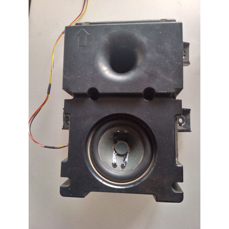 SPEKER TV POLYTRON LED 24 IN.123