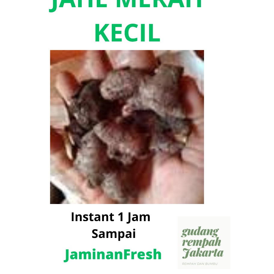 

Harga Murah JAHE MERAH KECIL 1 KILOGRAM ➥❇❋