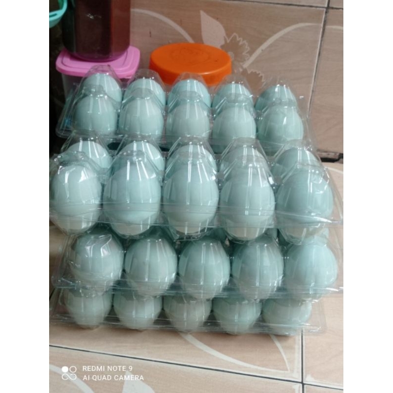 

Telur Asin Masir Khas SRAGEN