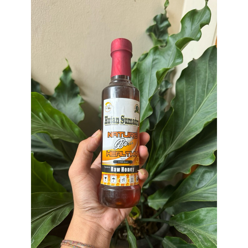 

Madu Asli(Madu Hutan Sumatra)