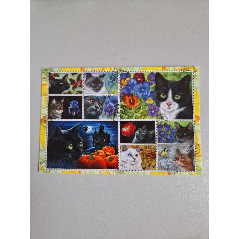 

kartu pos kucing/cat postcard