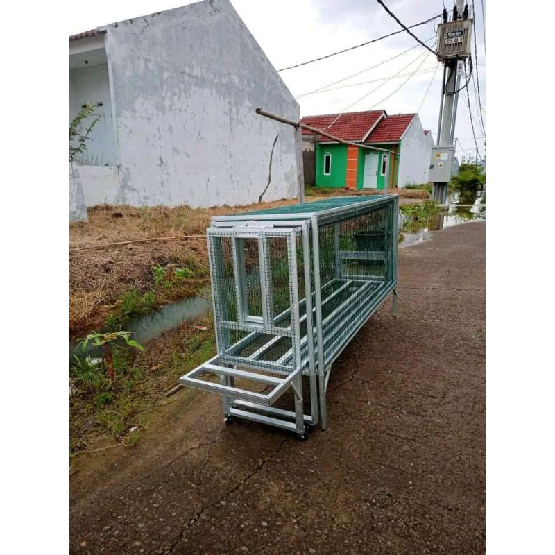 kandang umbaran murai