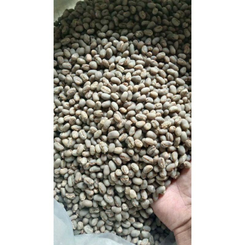 

green Bean Arabika/Arabica Semeru/green Bean murah 1000g