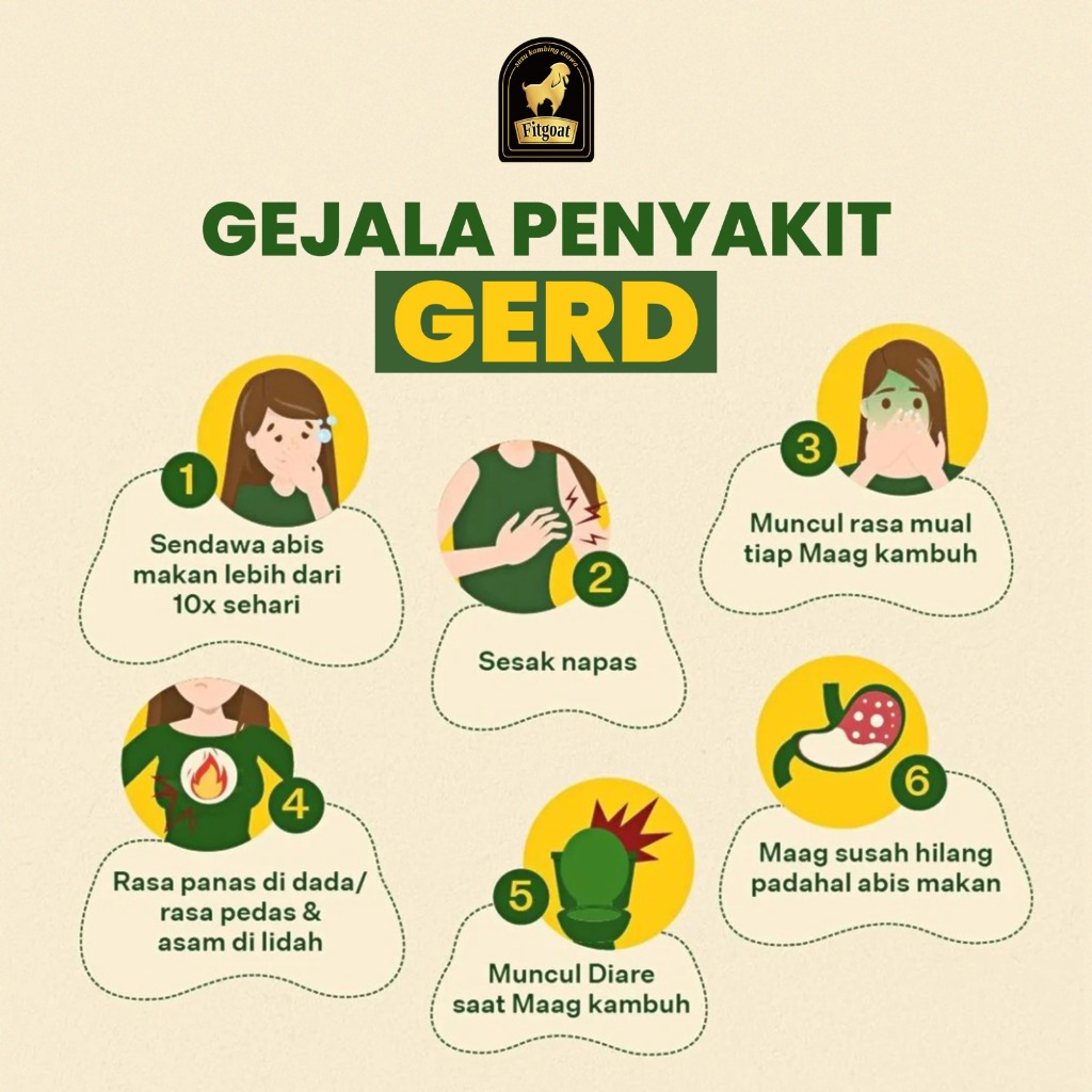 

Fitgoat Susu Kambing Etawa : Solusi ampuh dan atasi GERD.