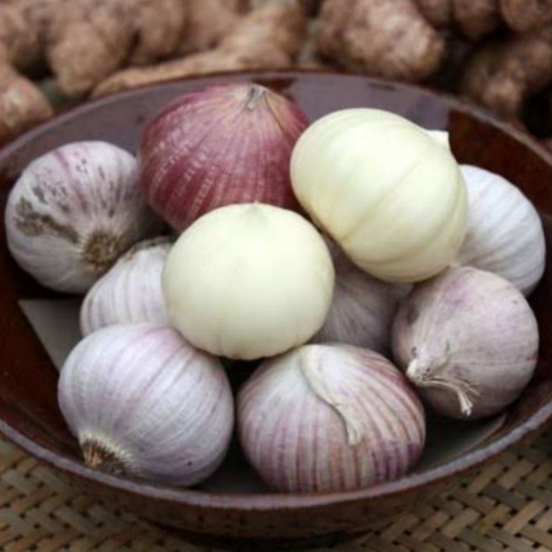 

[♚X30<] Bawang Putih Tunggal 1 kg JUMBO SUPER - Bawang Lanang - Bawang Putih Lanang Serba Murah