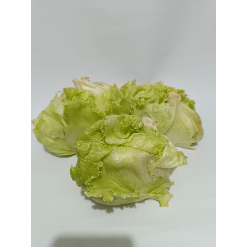 Sayur lettuce segar 1kg/ sayur kebab/bahan kebab tangerang
