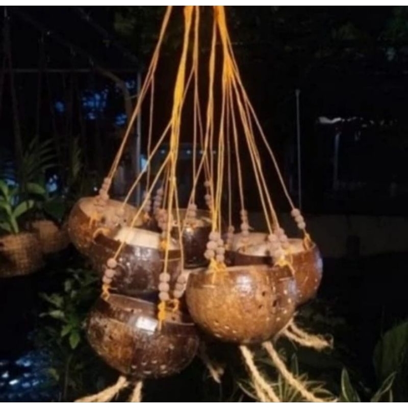 pot batok kelapa tempurung kelapa ukir gantung