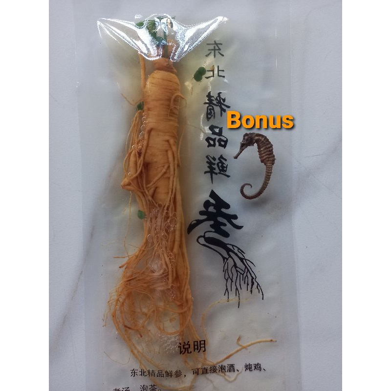 

Akar Ginseng root Vacuum 100gram Bonus KL HAI MA 1PCS