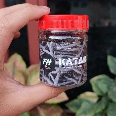 Limited FEEDHUNT KATAK GILING, PAKAN AURANTI PELET KATAK KODOK MURNI KATAK SAWAH, HIGHFIN