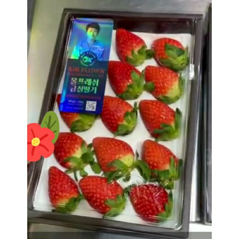

strawberry korea premium
