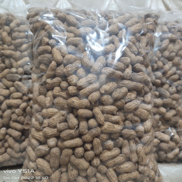 

NO61GN95 KACANG KULIT SANGRAI MADURA 1kg ➻Pasti Murah