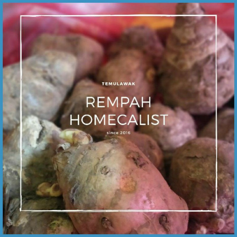 

Terbatas Temulawak 1kg Temulawak Segar Curcuma 97
