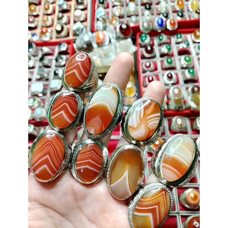 Jungjung Derajat ( Junder ) Natural asli