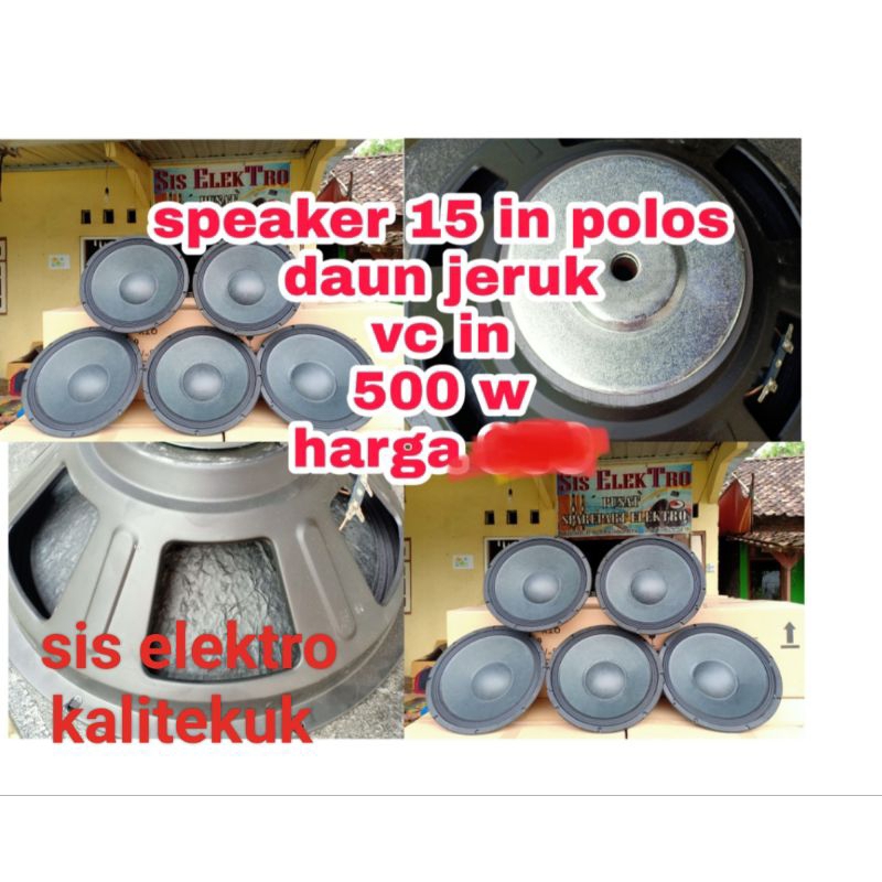 Speaker 15 Inch Polos Daun Jeruk