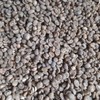 

Green Bean Arabika Sumatra Mandheling Grade 1 @50kg/ Karung