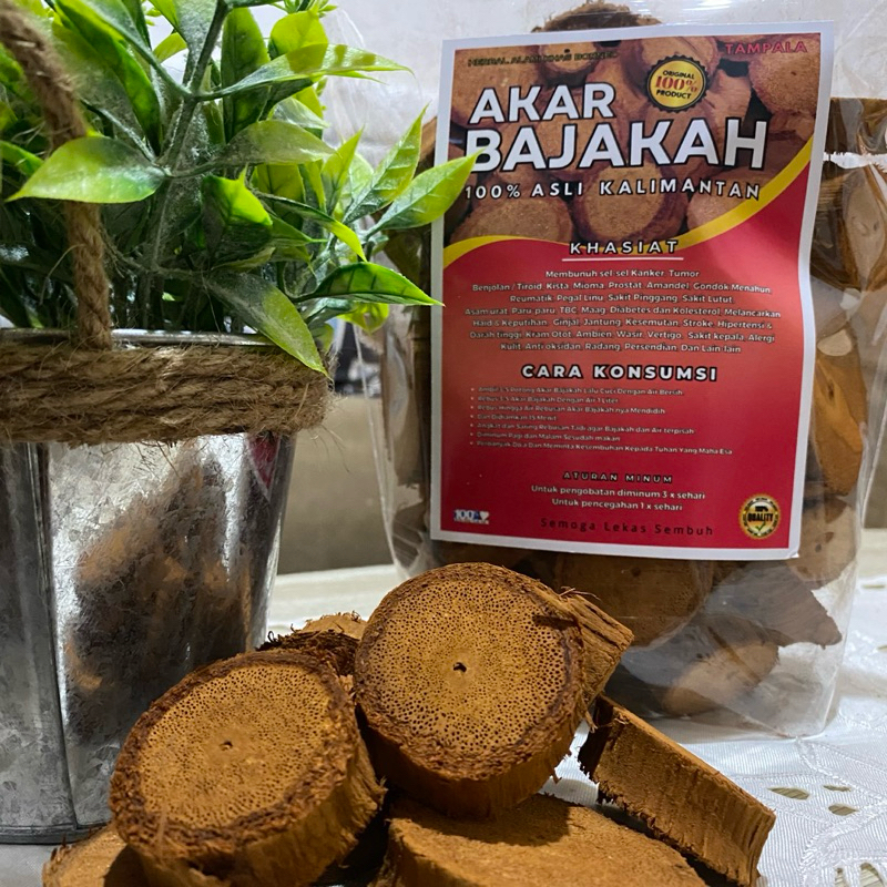 Bajakah Tampala Merah teh super asli Kalimantan