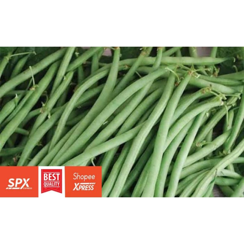 

Buncis fresh segar Bandung 250 g