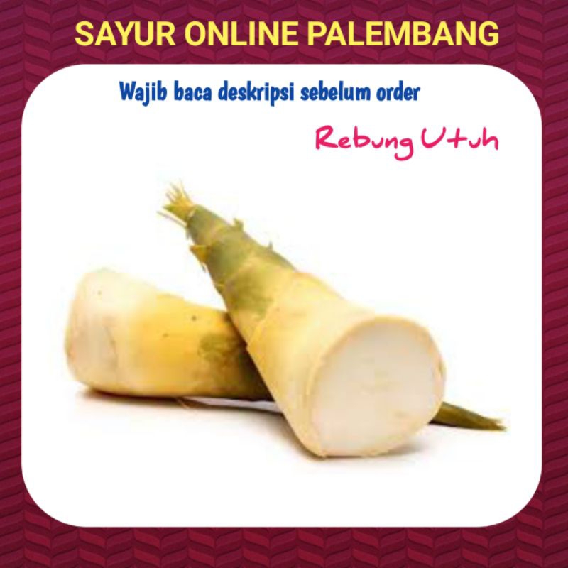 

Rebung Bambu Utuh Segar Bersih - Toko Pasar Sayur Sayuran Segar Online palembang