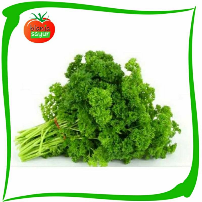 

Daun Parsley Segar