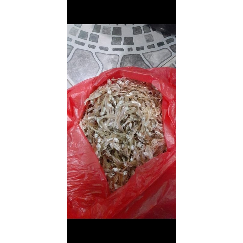 

TERI KADRAK SUPER KHAS KRAGAN REMBANG 1 KG