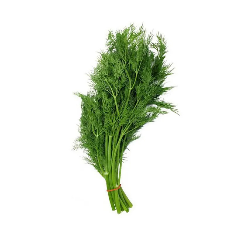 

Daun Dhill 250gr