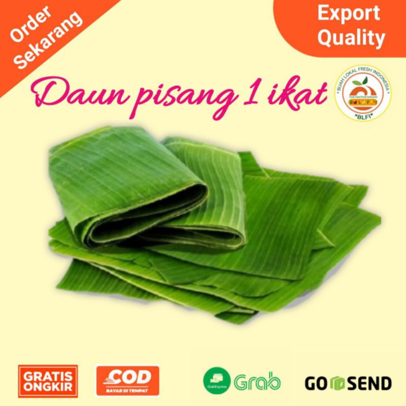 

DAUN PISANG PER IKAT ISI 18-20 LEMBAR