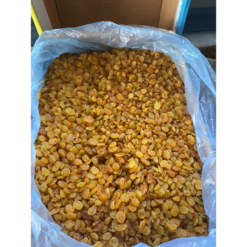 

Kismis Arab Golden raisins 1/4kg