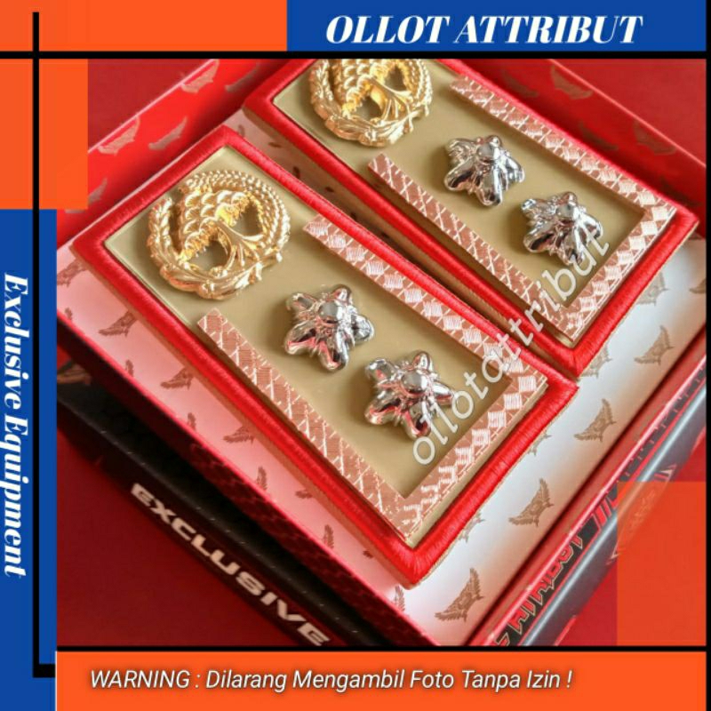 PANGKAT ASN PNS JAMBI GOLONGAN 3B ESELON 4A MIKA BENING