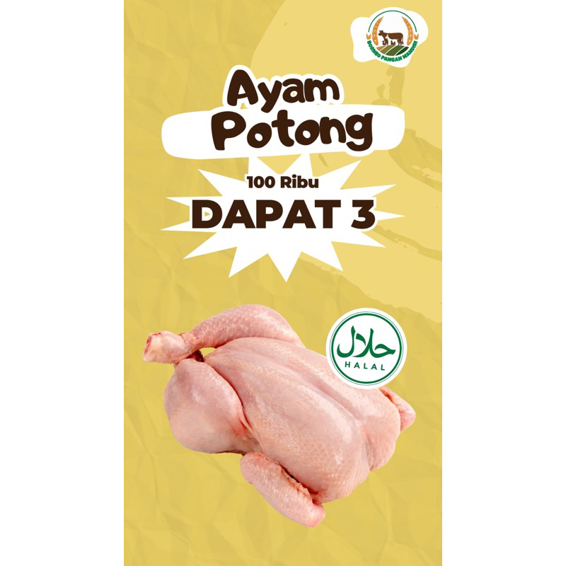 

ayam potong 100 ribu dapat 3 ekor beku