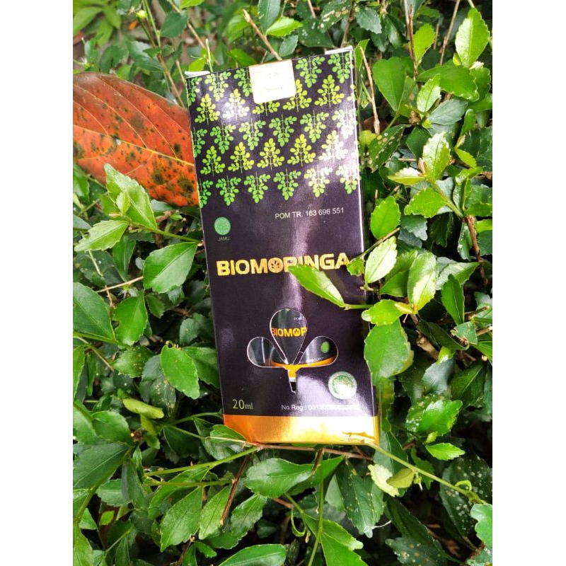 Bio moringa, BIO MORINGA, Bio Moringa, bio moringa