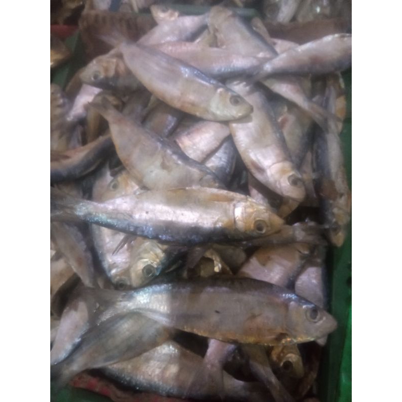 

IKAN ASIN TEMBANG KEMASAN 250 GRAM KEMASAN VACCUM SEALER