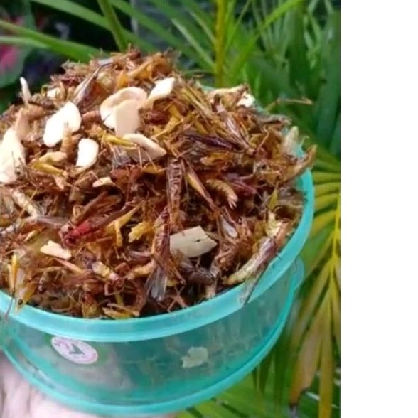 

WALANG GORENG BEST SELLER PEDAS GURIH COD