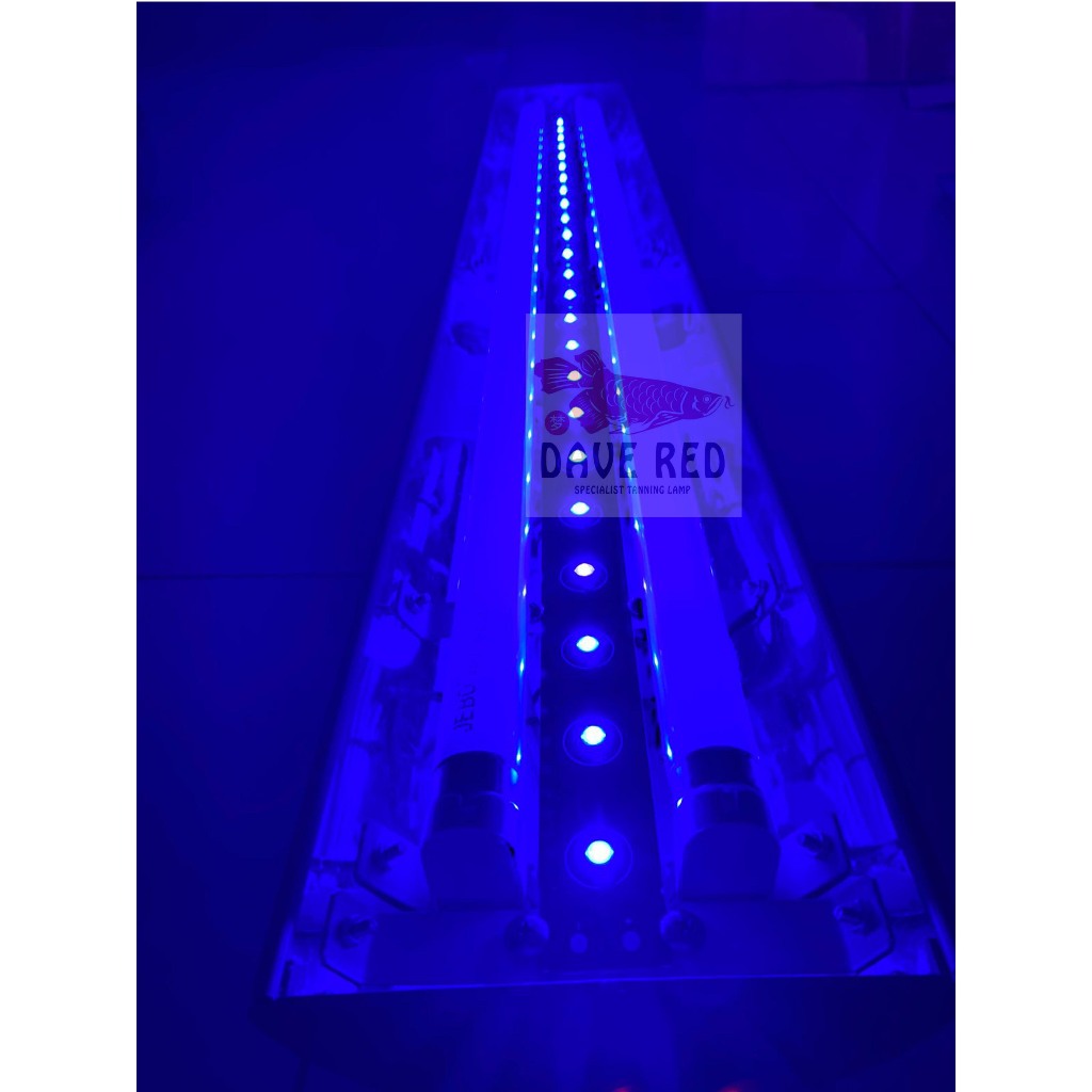 2 Jebo 1 LED 3 watt Bridgelux Lampu tanning Arwana Kombinasi Ikan Super Red Arowana