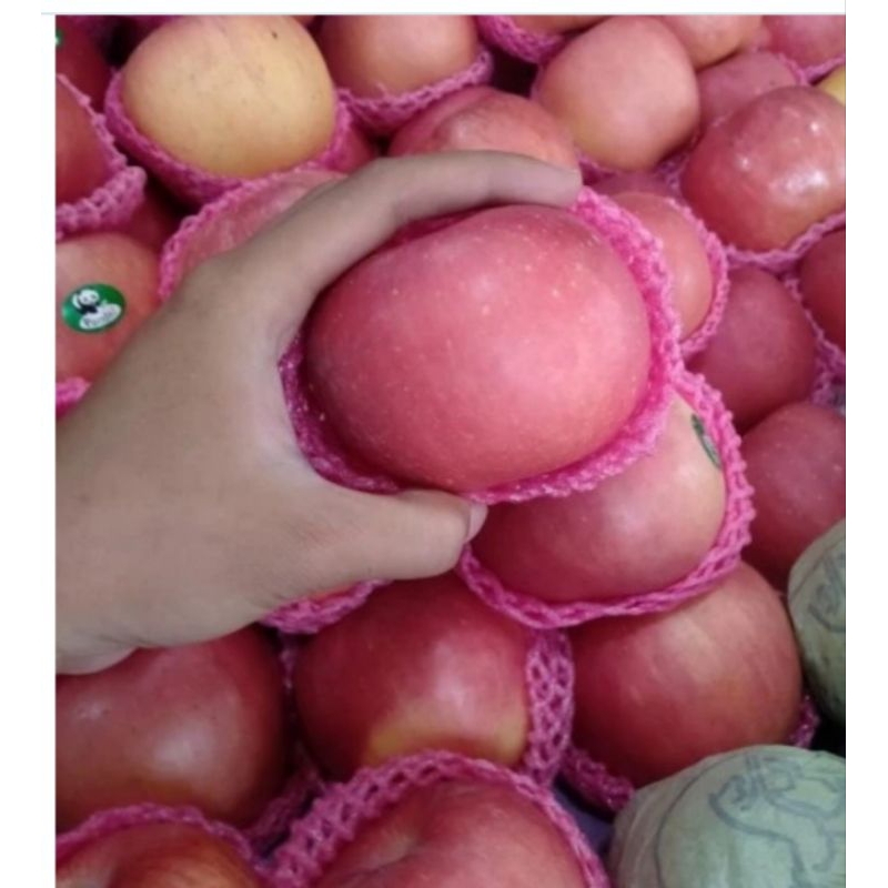 

Apel Fuji 1kg/apel Fuji fres/buah segar bandung