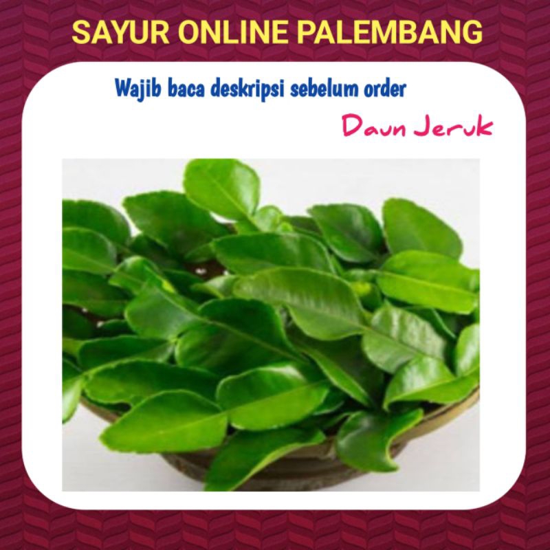 

Daun Jeruk Purut Per Ikat - Pasar Toko Sayur Segar Online Palembang