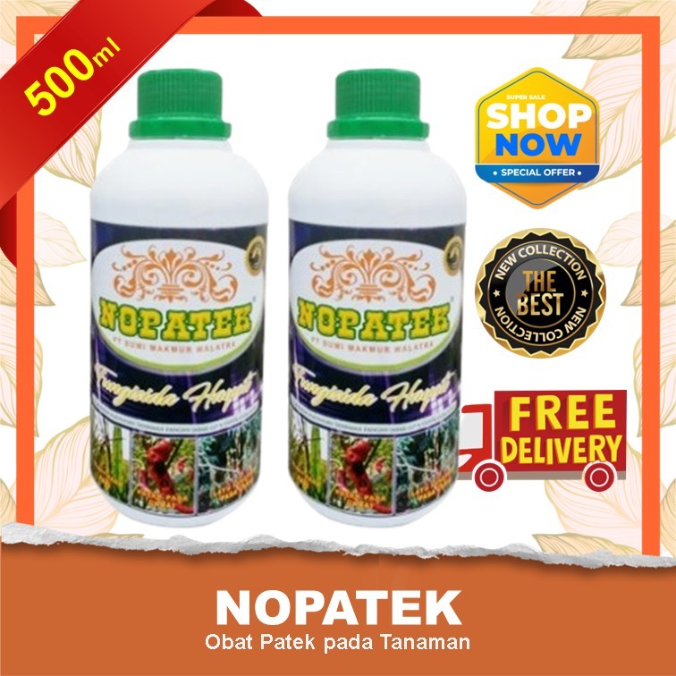 Pupuk NOPATEK Fungisida Hayati Obat Hama Mengatasi Layu Fusarium pada Tanaman Terong Paling Ampuh & 