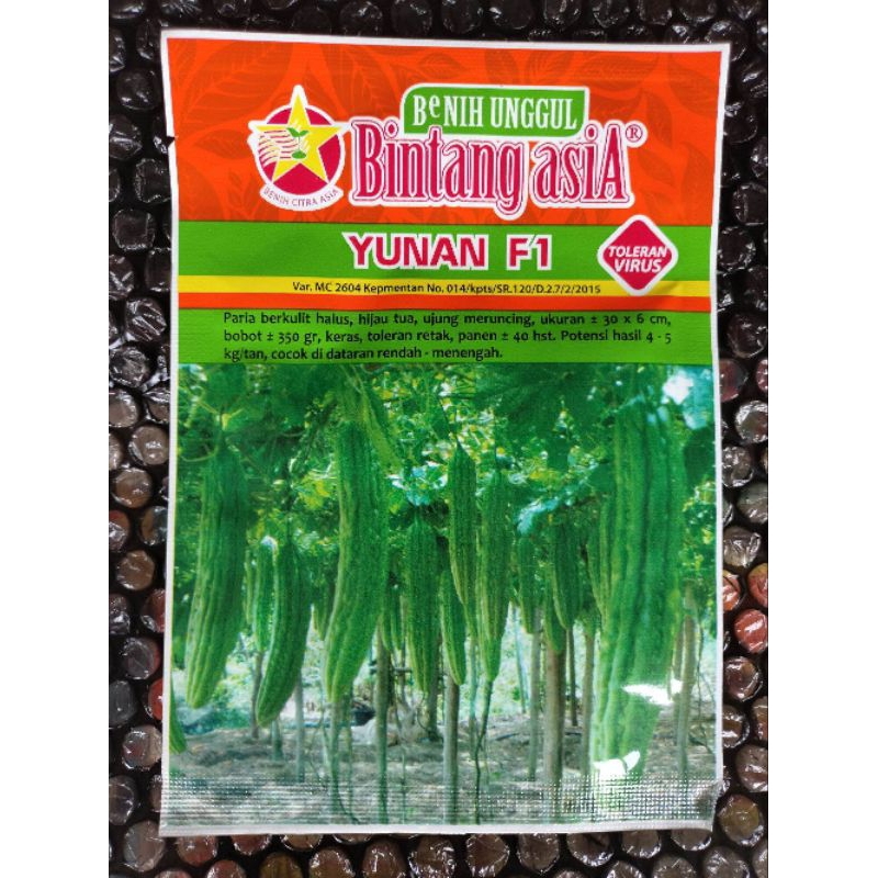 

Benih Paria Pare Yunan F1 (Cocok Ditanam di Dataran rendah sedang tinggi semua hasil panen bagus) 10 gram 50-65 butir Kadaluarsa. 2025 (Terbaru Panjang)Termurah Seindonesia