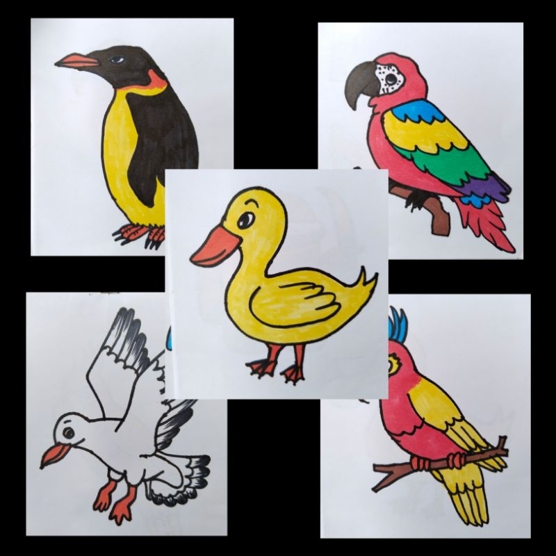 

Jual Gambar Binatang Bagus Lengkap [COD]