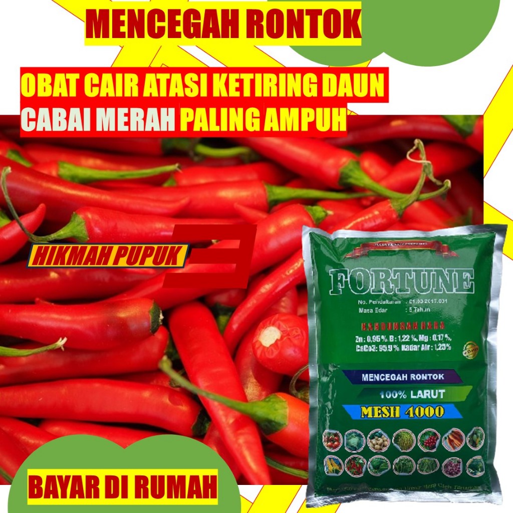 Pupuk Cabai Merah MESH 4000 Plus Boron Plus Zink Pencegah Layu Cabai Merah FORTUNE Organik Anti Pate