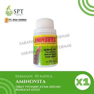 AMINOVITA 50 KAPSUL OBAT VITAMIN AYAM ADUAN PENGUAT OTOT EKA FARMA