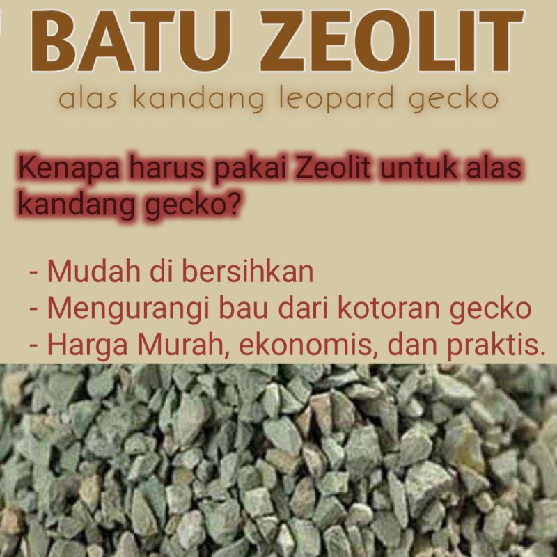 BATU ZEOLIT ALAS KANDANG LEOPARD GECKO CORAL KERIKIL ALAS KANDANG HEWAN REPTILE BATU JEOLIT BATU KER