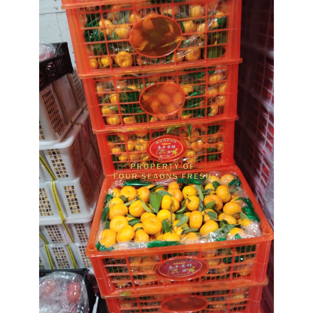 JERUK SANTANG MADU 1 KERANJANG MANIS SEGAR BANYAK AIR BERAT 6 KG