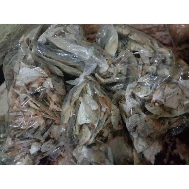 

ikanteri Medan
