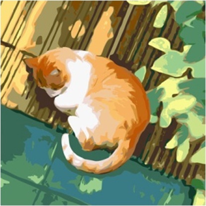 

paint by numbers 20x20CM kucing/cat series