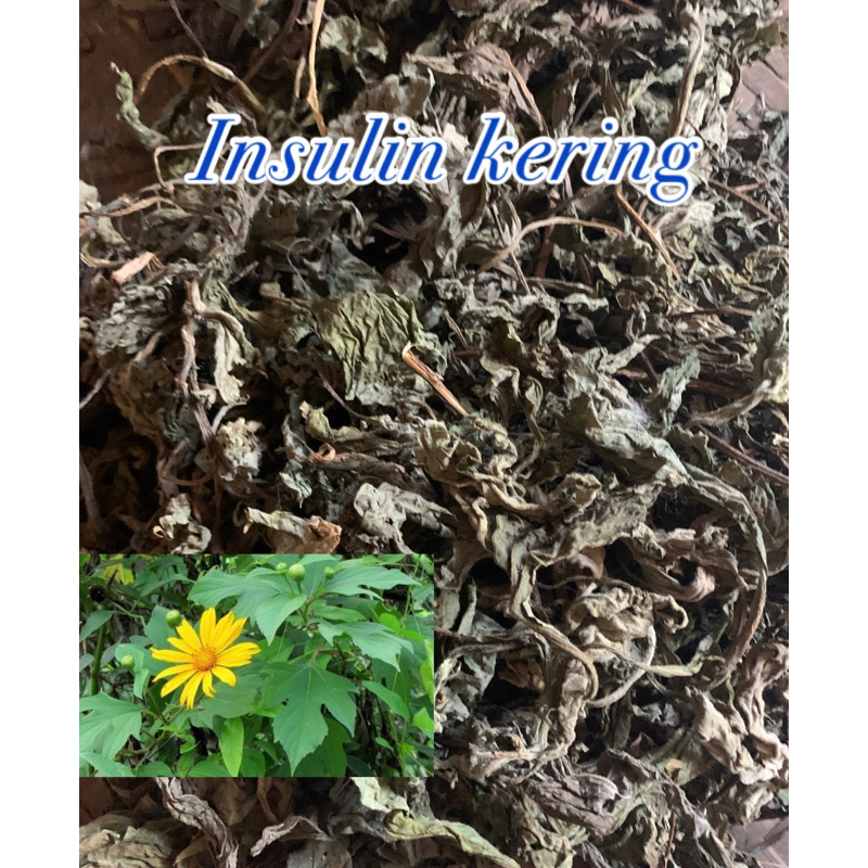 

daun insulin kering 100gr